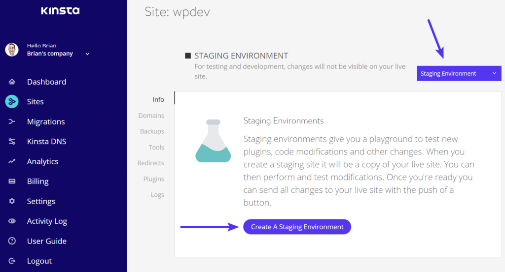 Kinsta WordPress staging